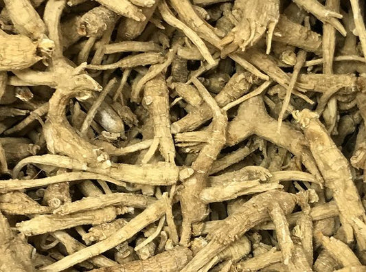 Canadian Ginseng