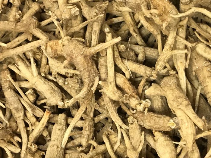 Canadian Ginseng
