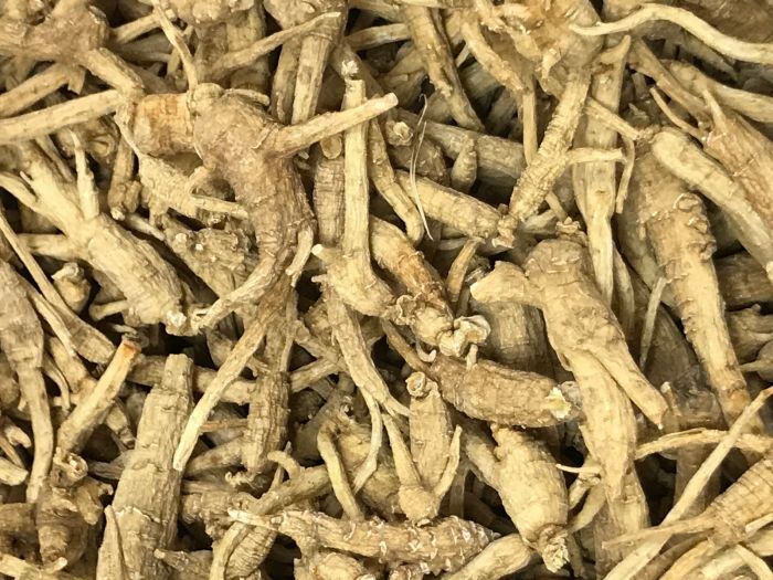 Canadian Ginseng
