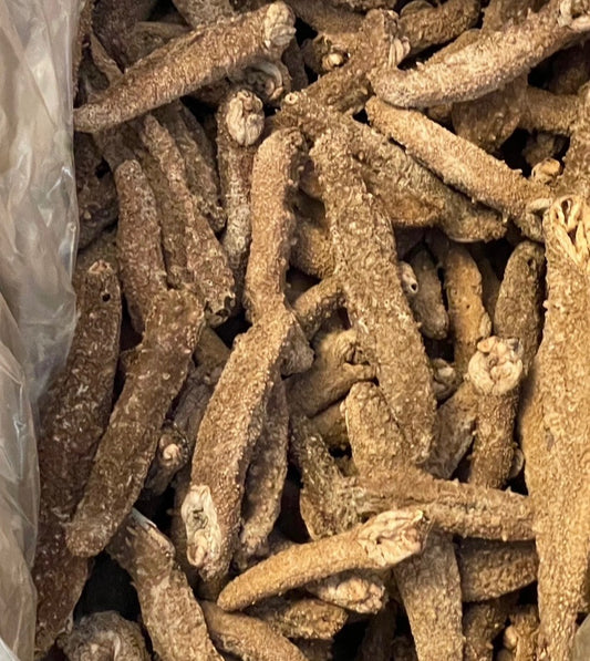 Dried Alaska Sea Cucumber